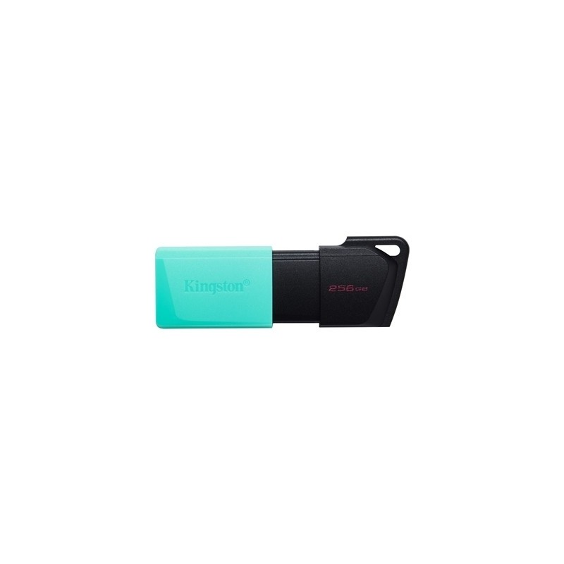 FLASH DRIVE USB3.2 256GB KINGSTON DTXM/256GB EXODIAM NERO+VERDE